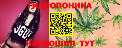 гидропоника Изобильный
