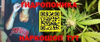 гидропоника Изобильный