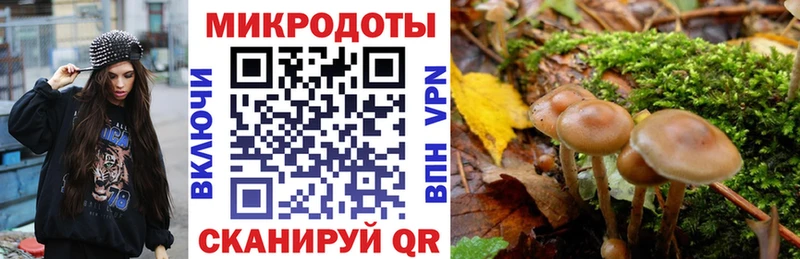 цена наркотик  МЕГА онион  Галлюциногенные грибы ЛСД  Тверь 